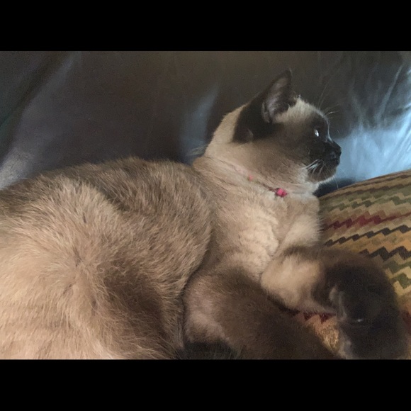 Meet your Posher, Kimberly - Picture 2 of 8